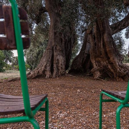 Masseria Torrelonga Фазано Екстериор снимка